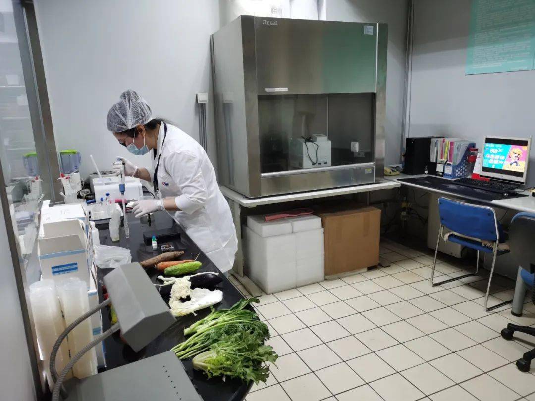 轵城镇食品检测实验室装修方案